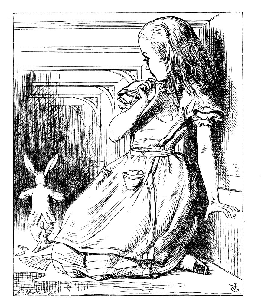 Illustration by John Tenniel from the first edition of Lewis Carroll&amp;rsquo;s Alice&amp;rsquo;s Adventures in Wonderland, 1865